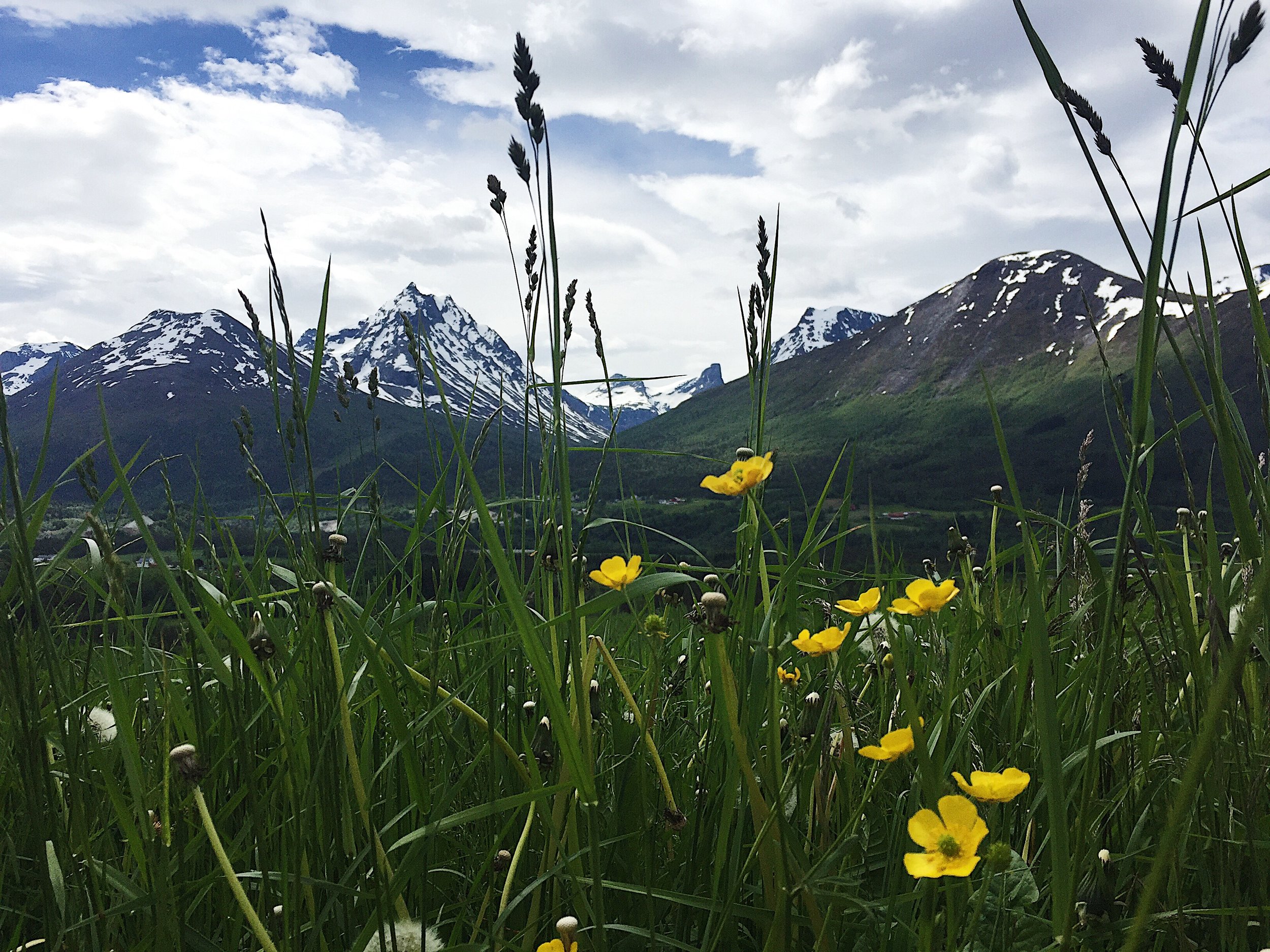 Isfjorden, Norway.