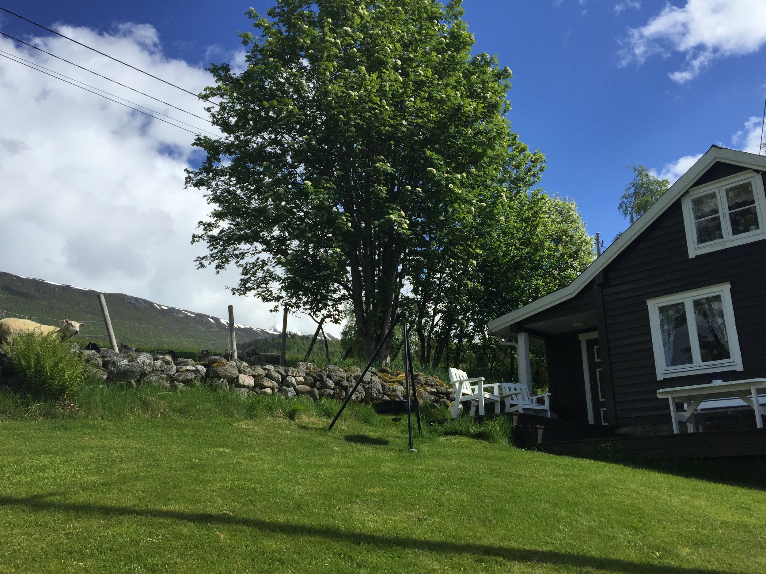 Our Airbnb in Isfjorden, Norway.