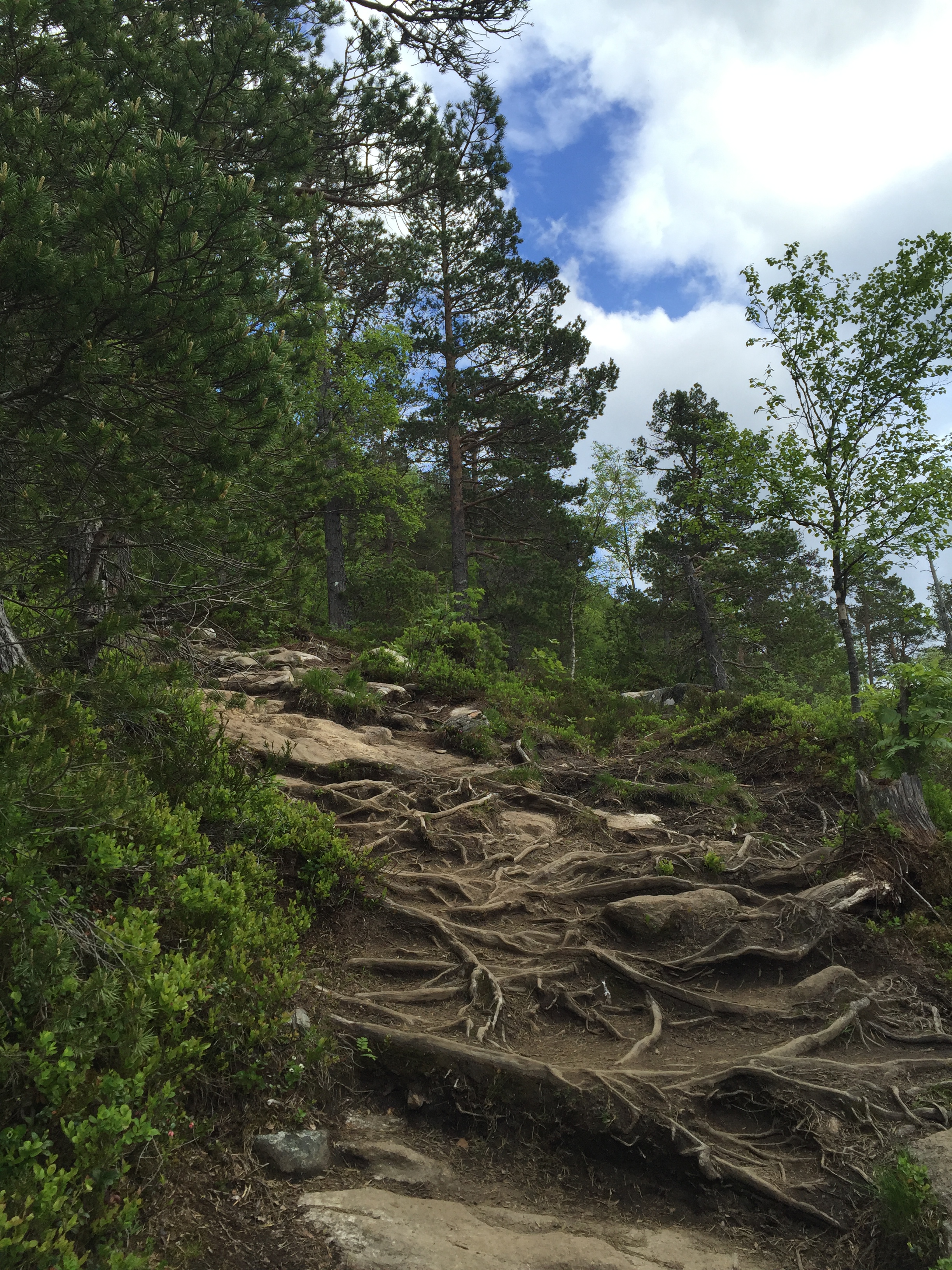 Hike to Rampestreken viewpoint.
