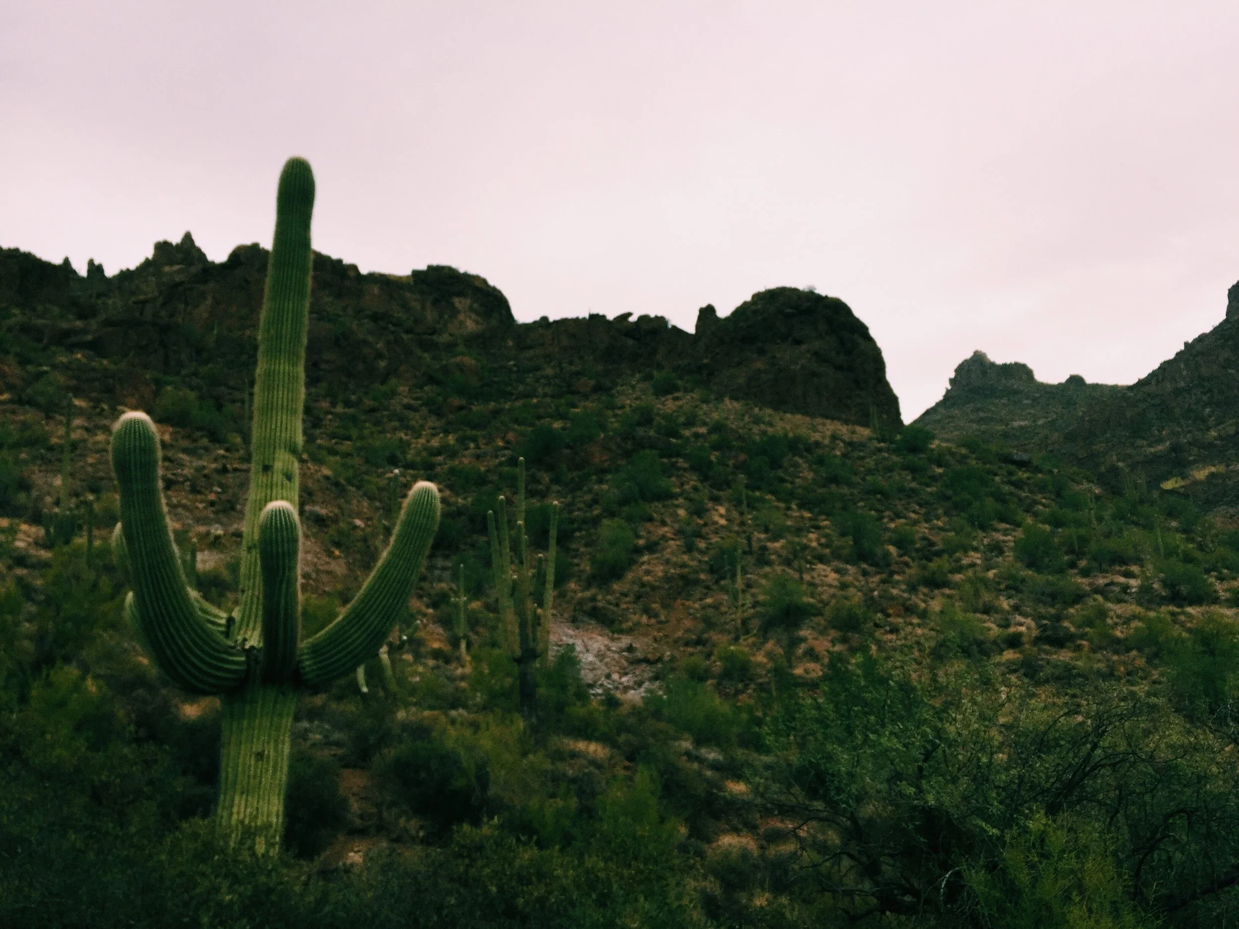 Wave Cave Trail in the Superstition Mountains
