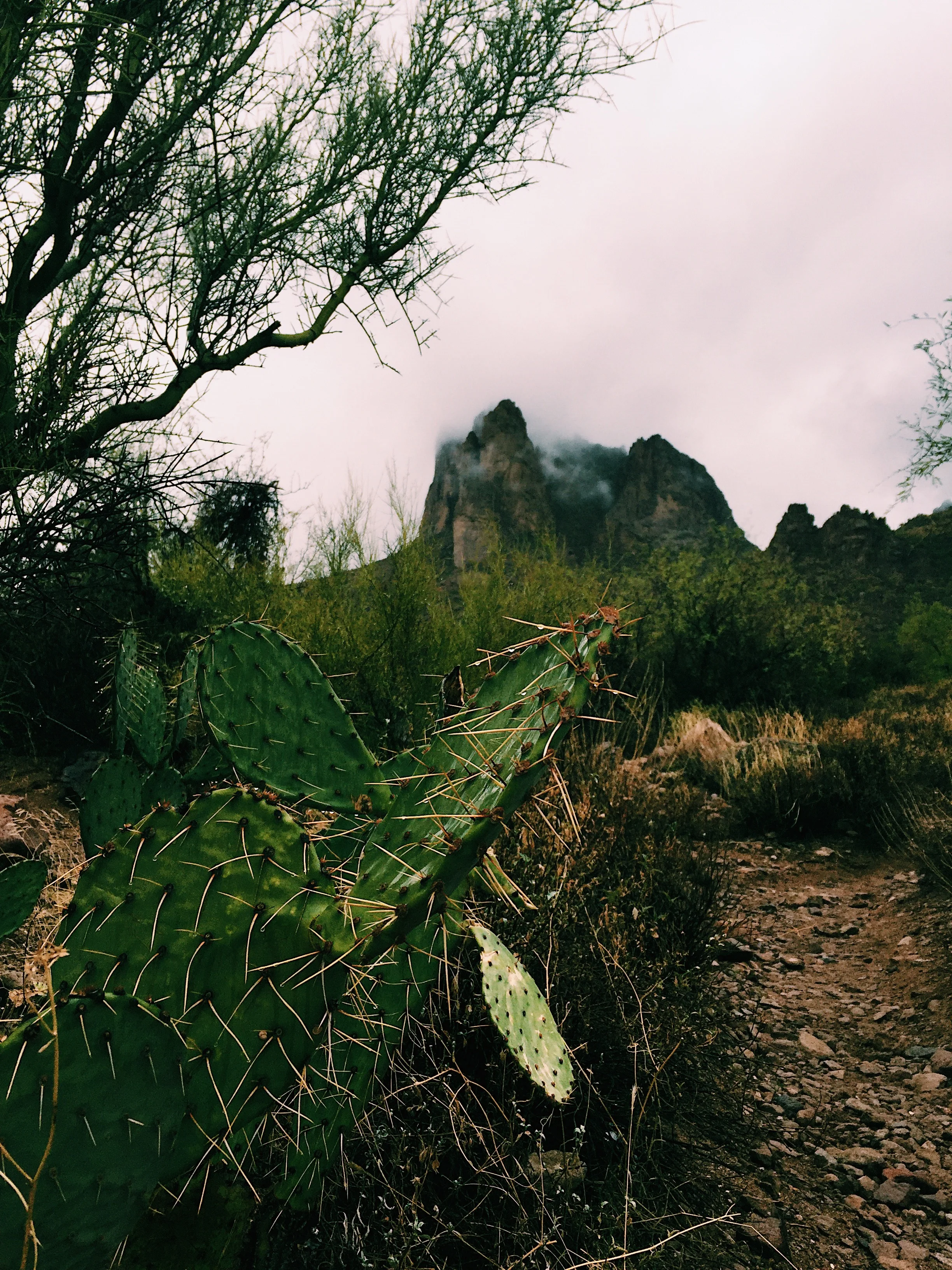 Wave Cave Trail in the Superstition Mountains