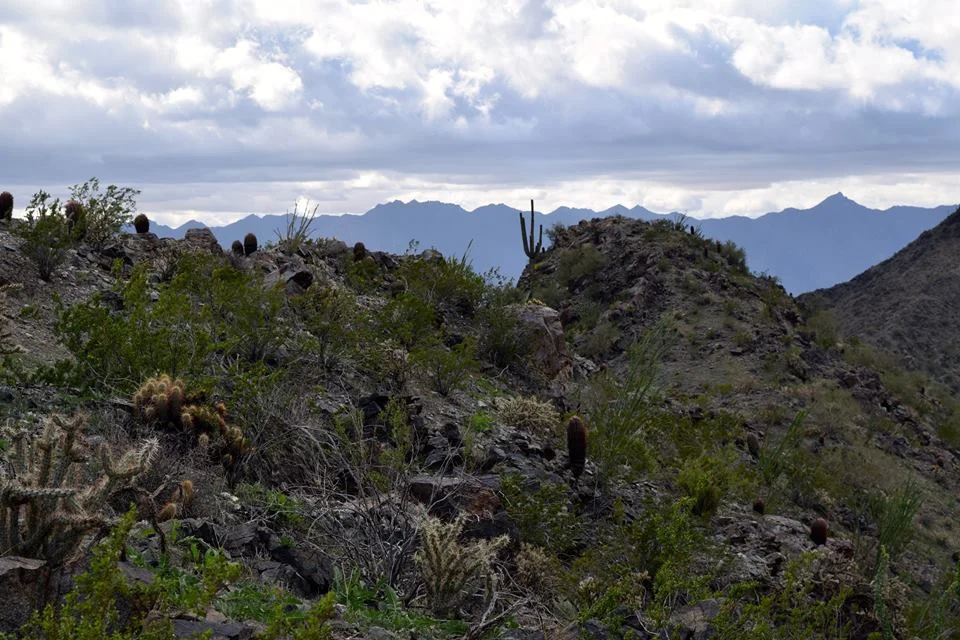 South Mountain // Photo by Laura Hughes