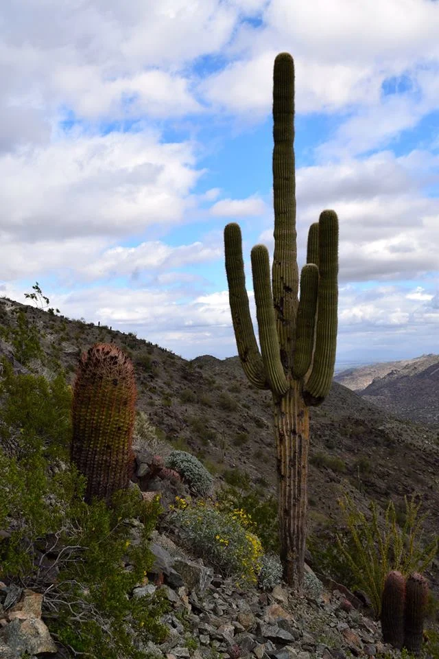 South Mountain // Photo by Laura Hughes