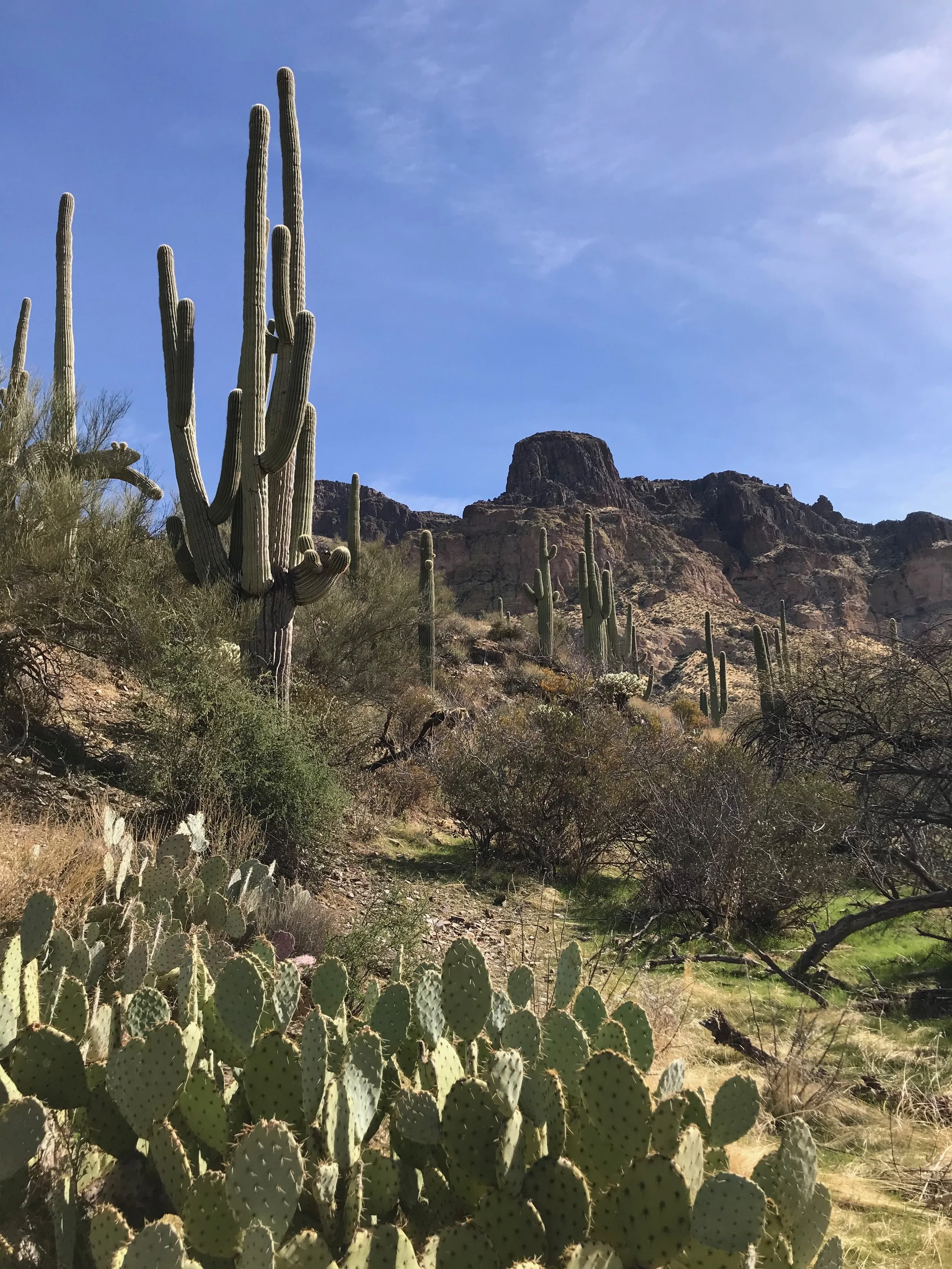 Between No Longer and Not Yet: Words on Slow Growth and Moving to a New City