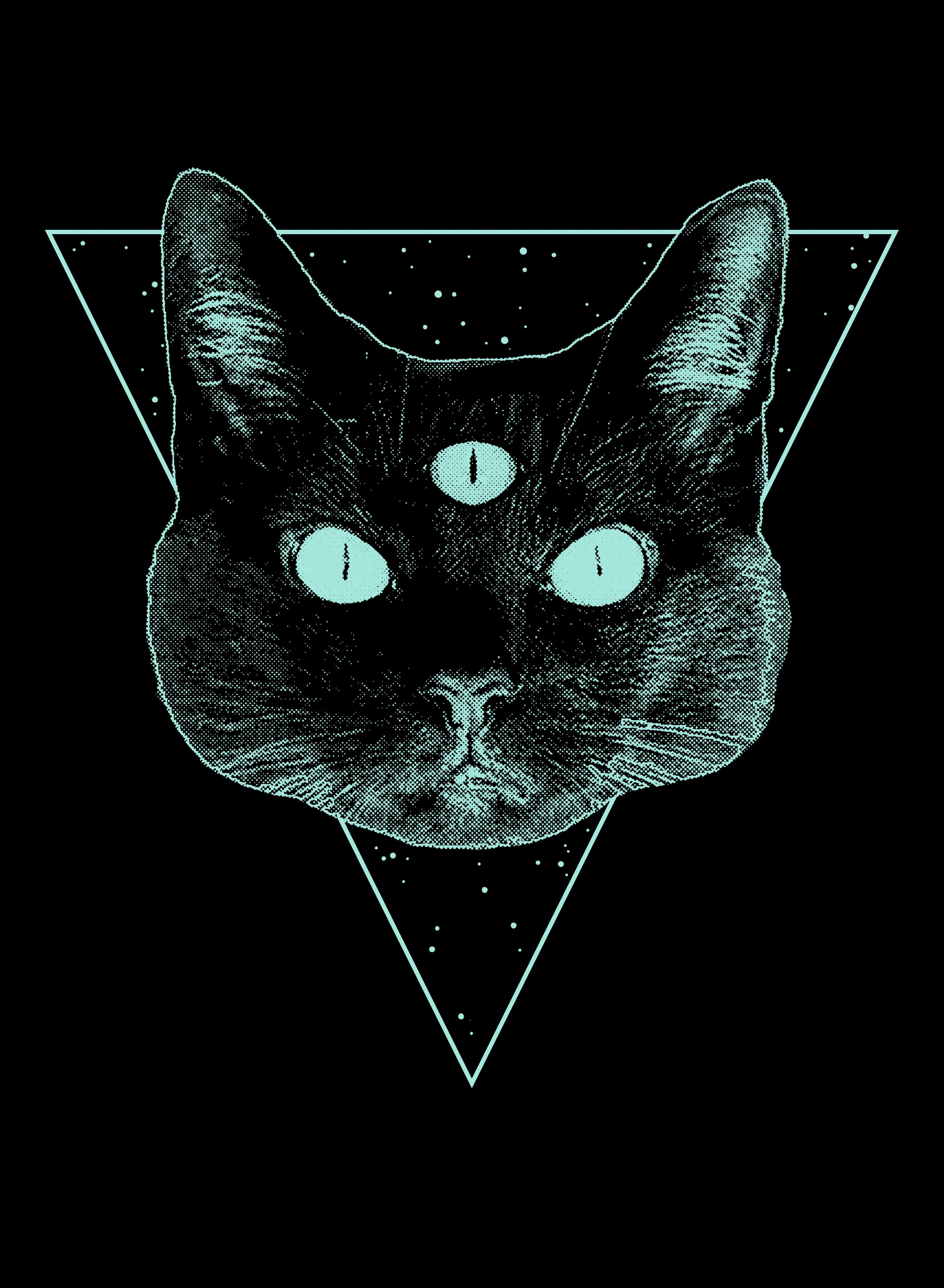 cosmiccat.jpg