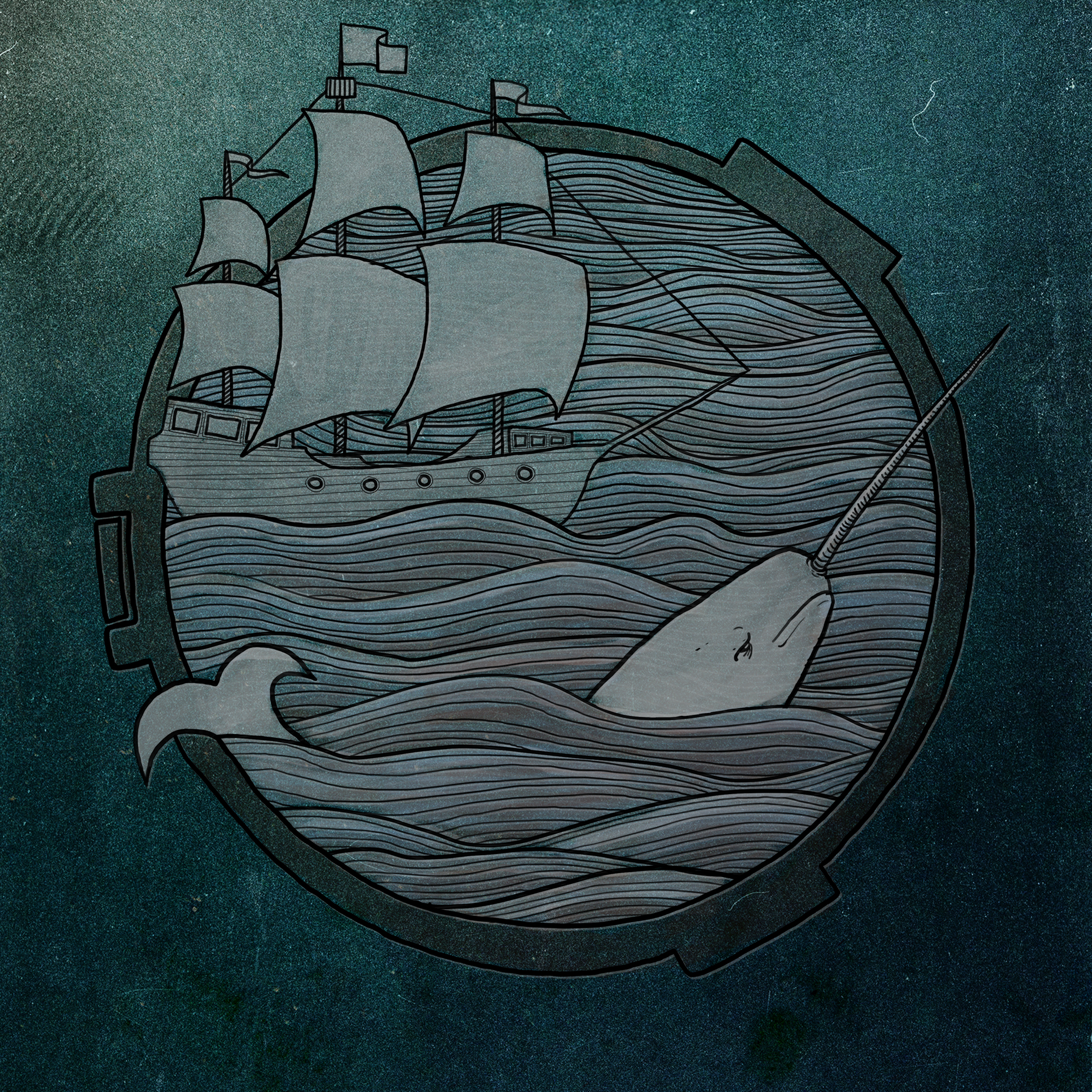 N is for Narwhal