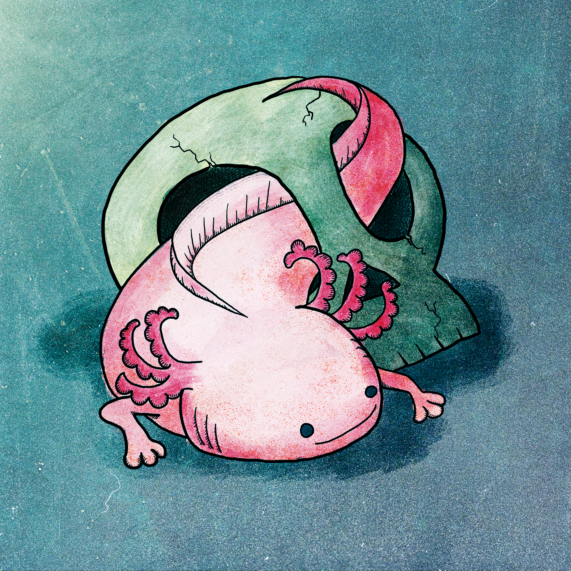 S is for Salamander