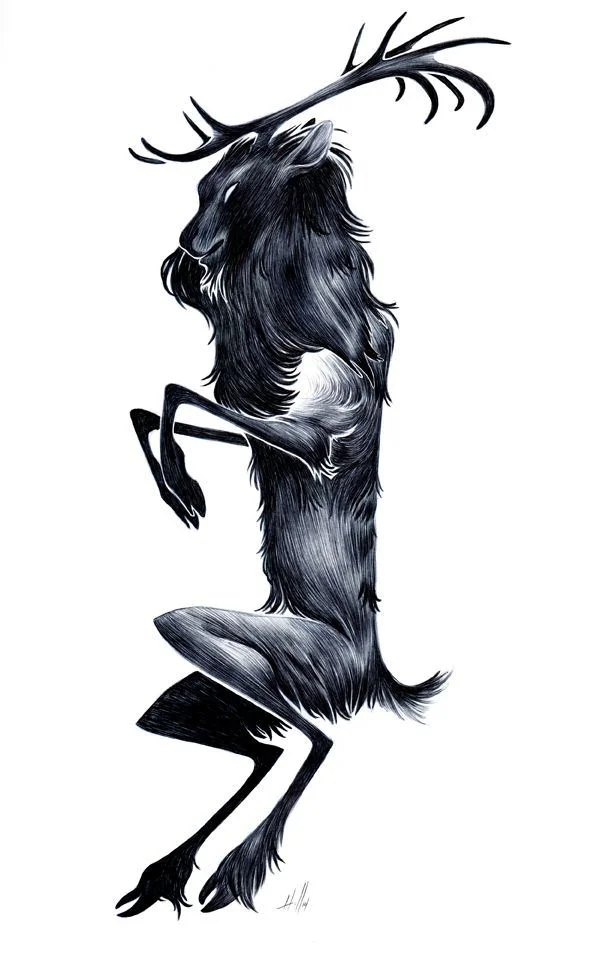 Natalie Hall Elk.jpg