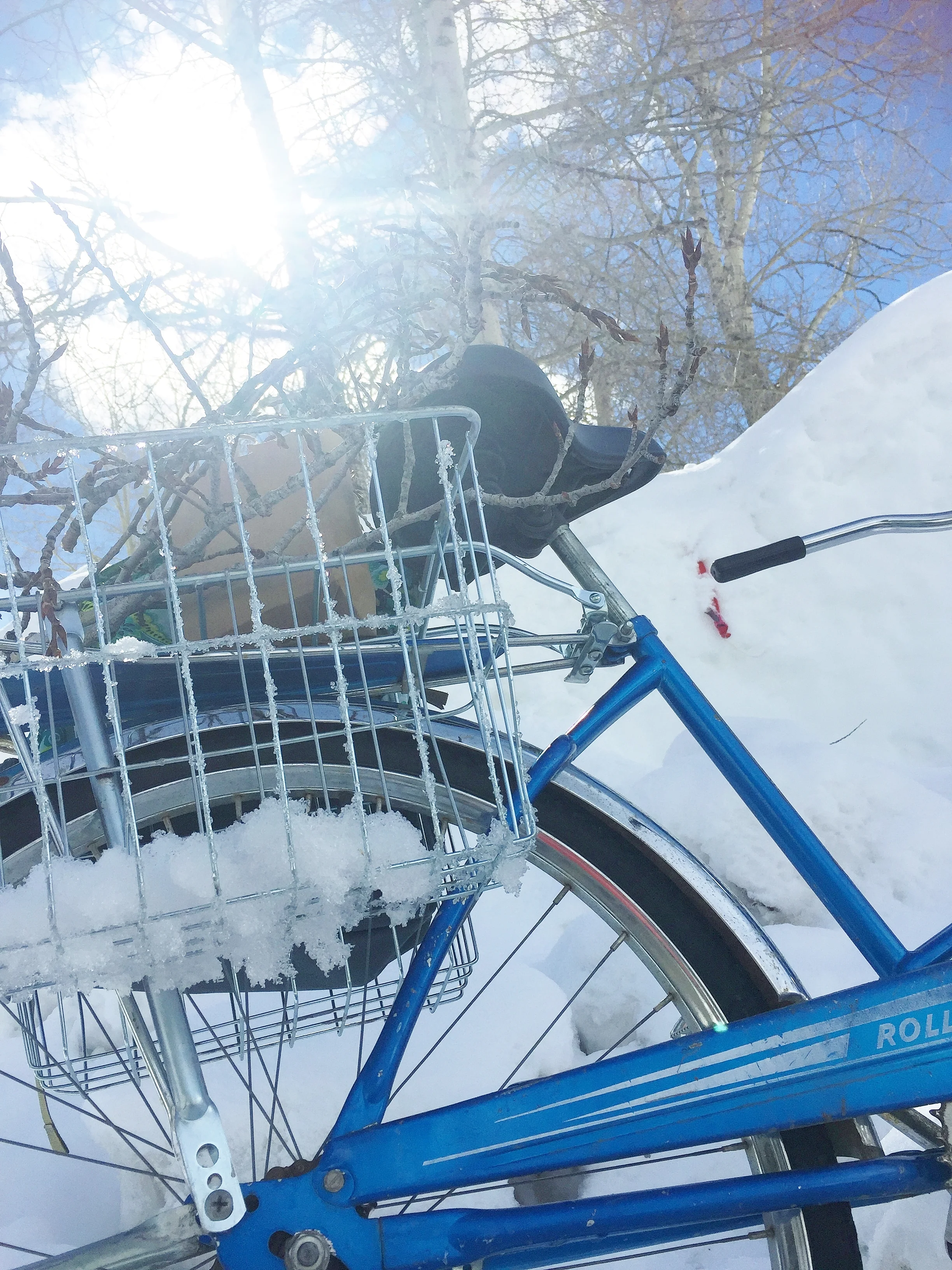 My trusty "townie bike" my favorite way to get to where I'm going.