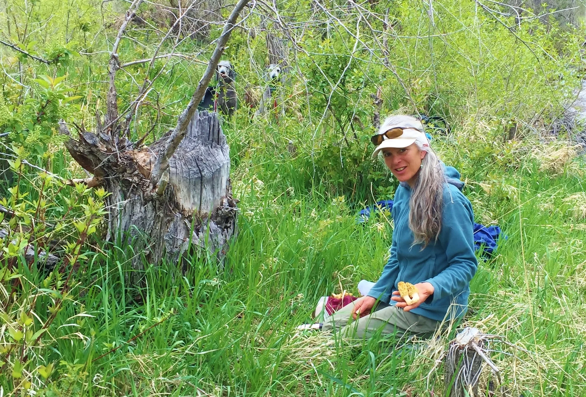 colorado real soap foraging.JPG