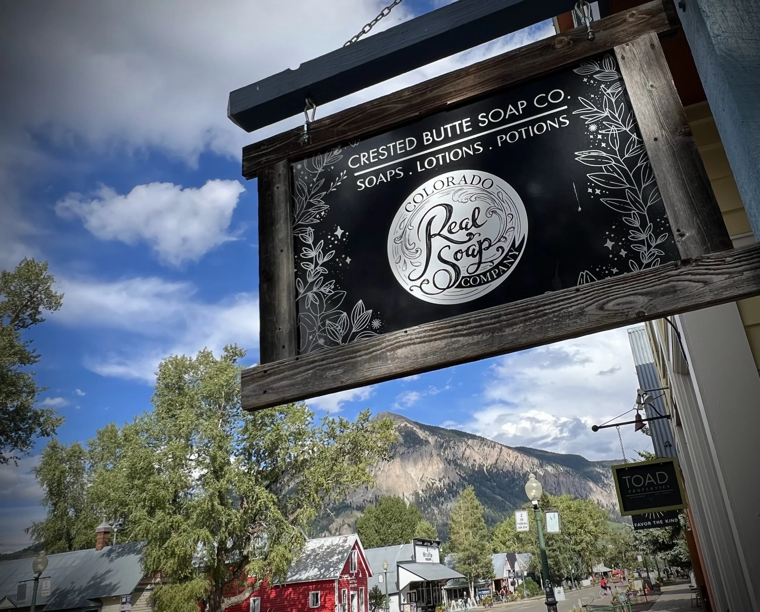 hanging sign 2025.jpeg