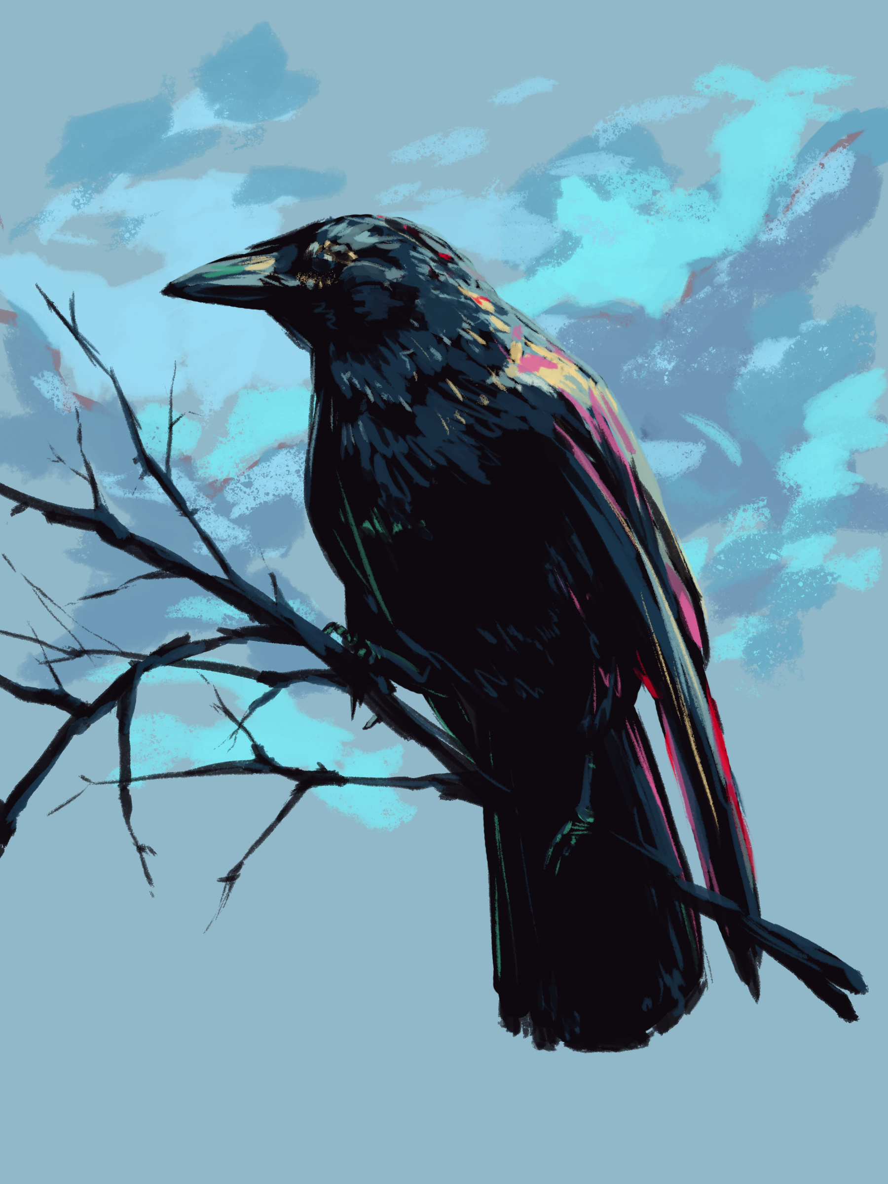 Raven