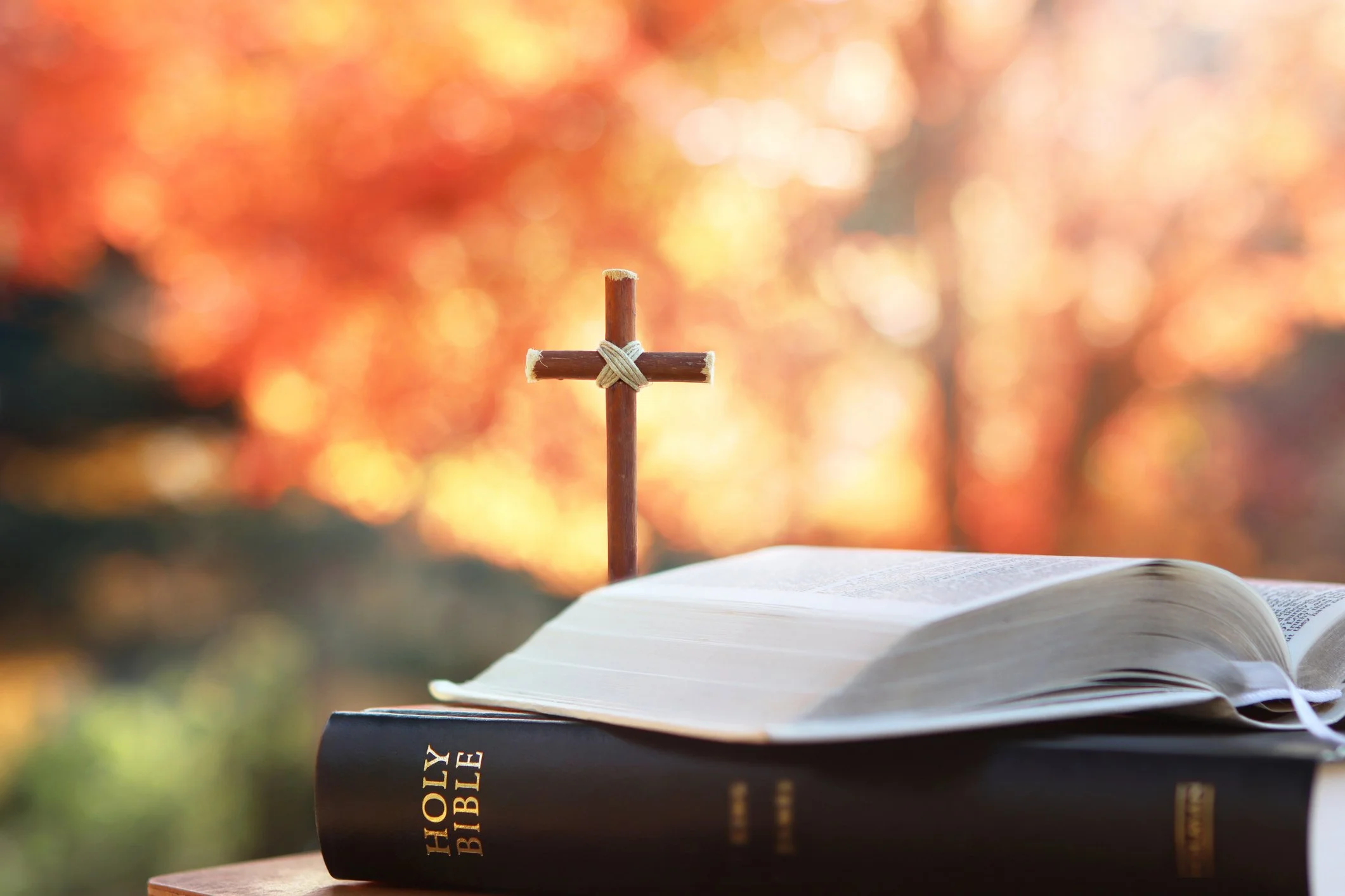 iStock-2173144894.jpg