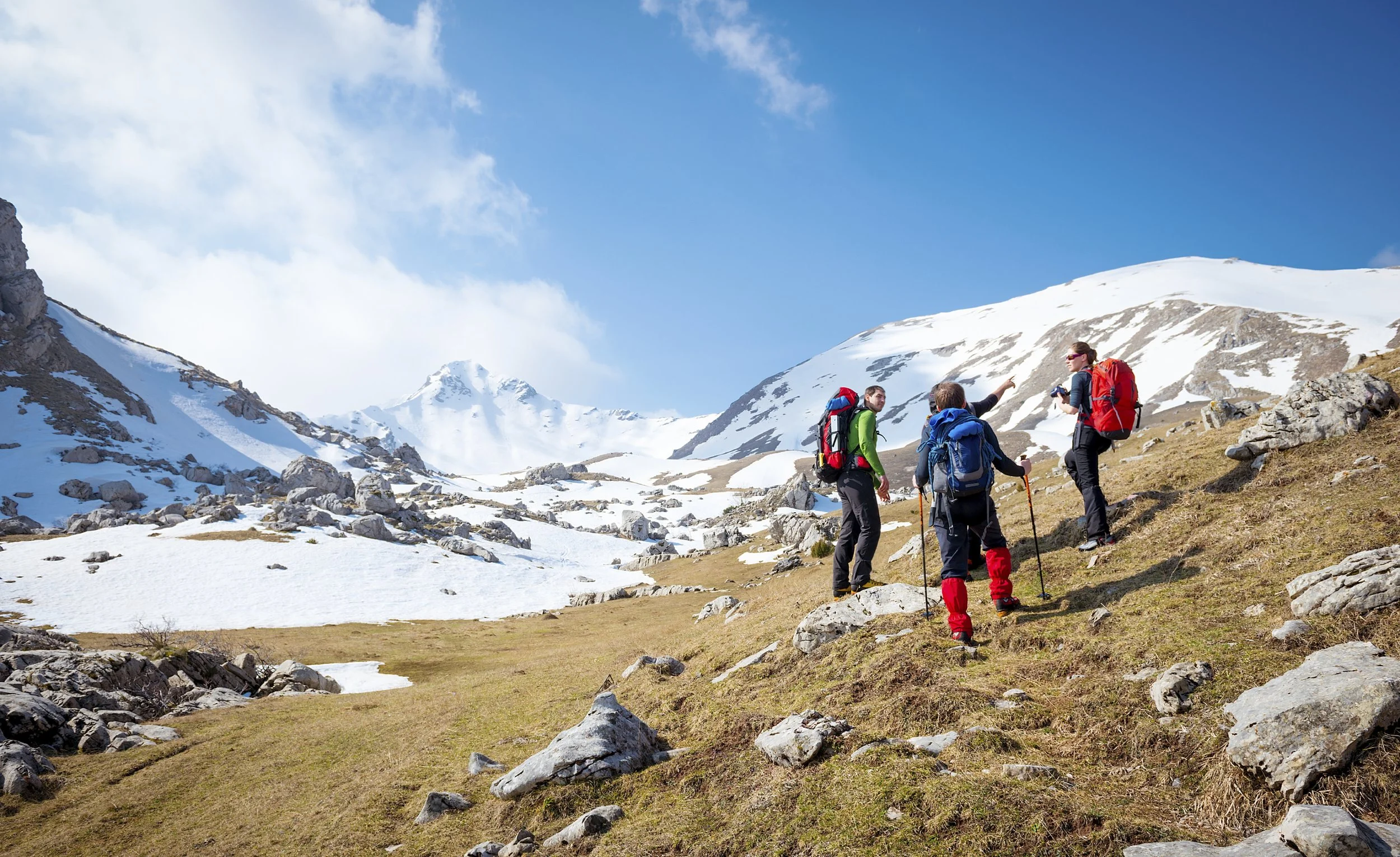 iStock_000038973906Large.jpg