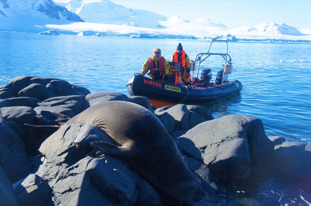 Humber boat Antarctica.jpg