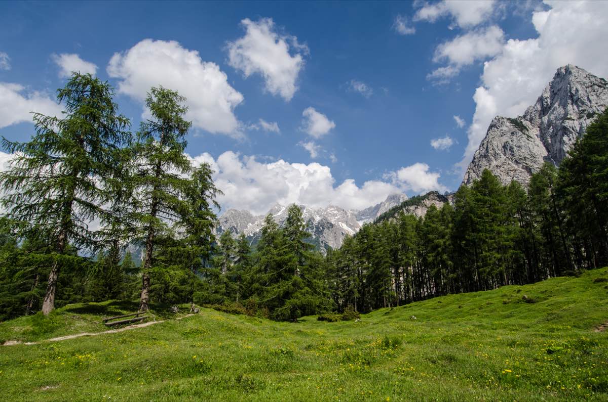 triglav-2.jpg