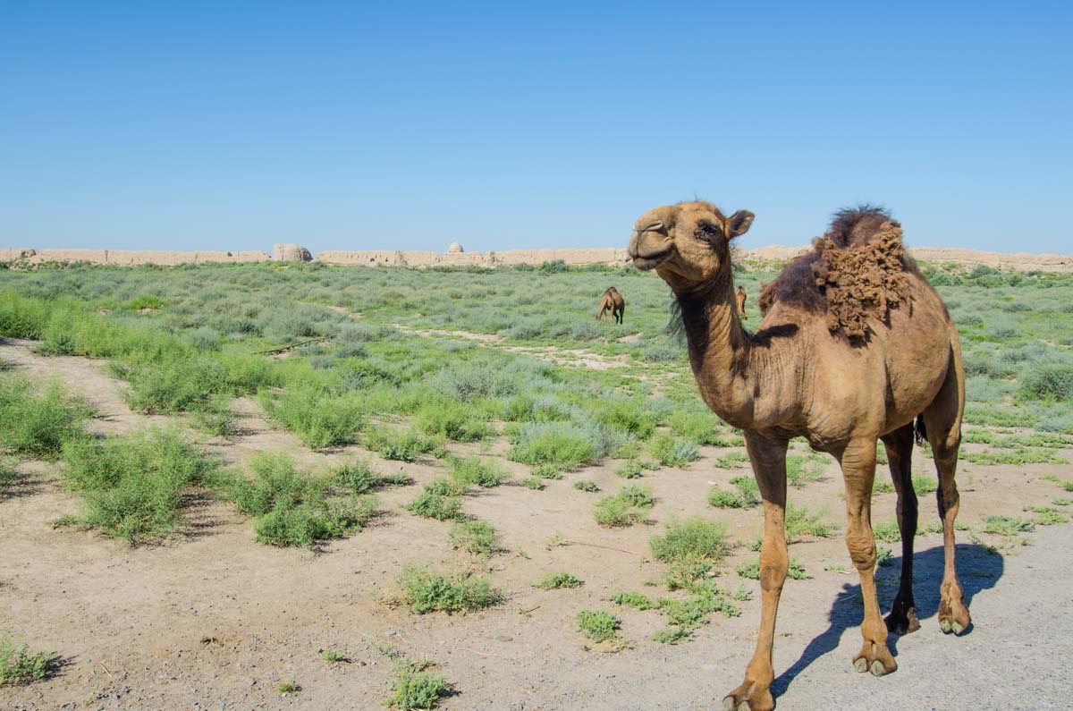 turkmenistan-12.jpg