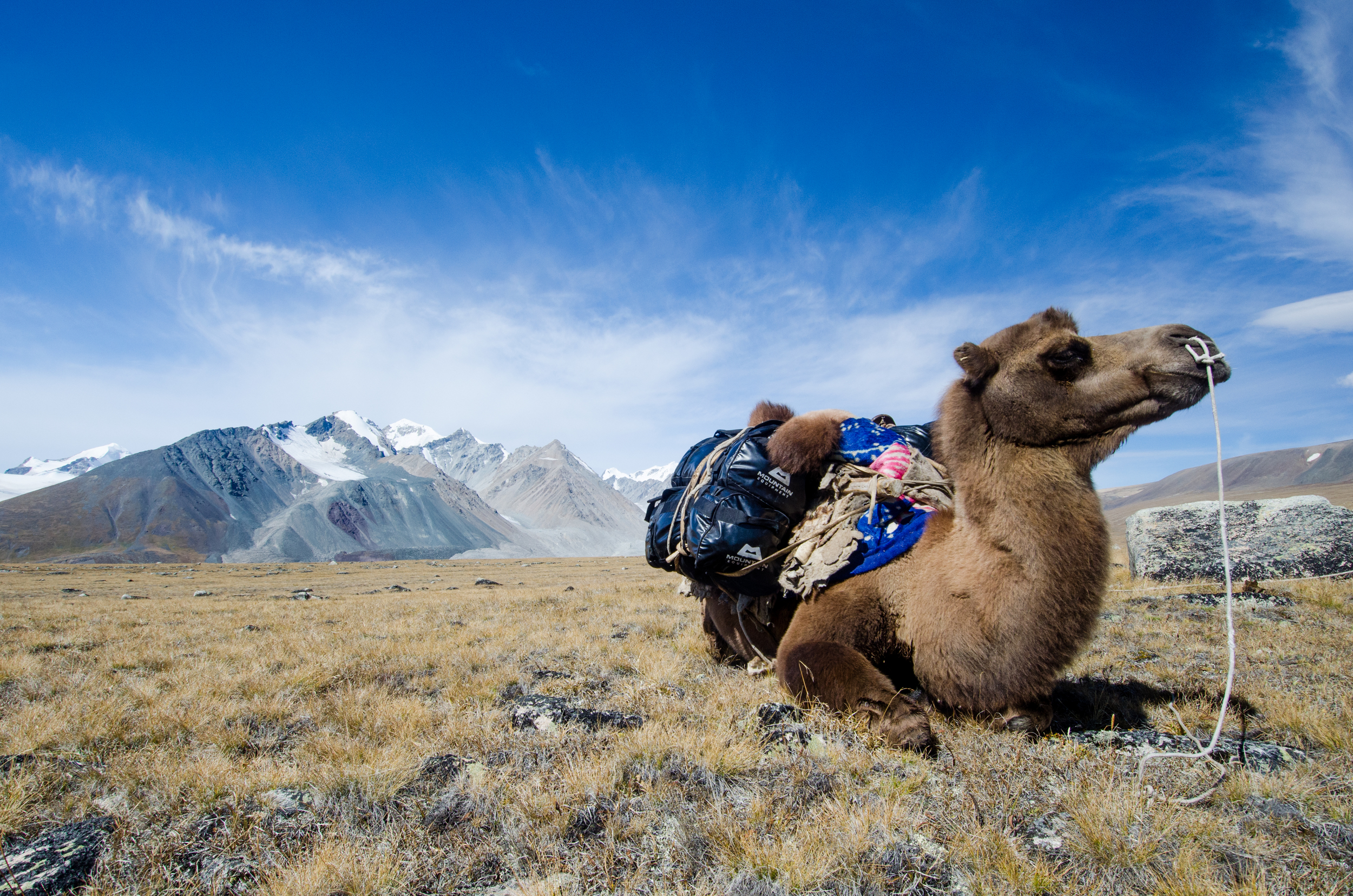 Unique transport up to base camp!