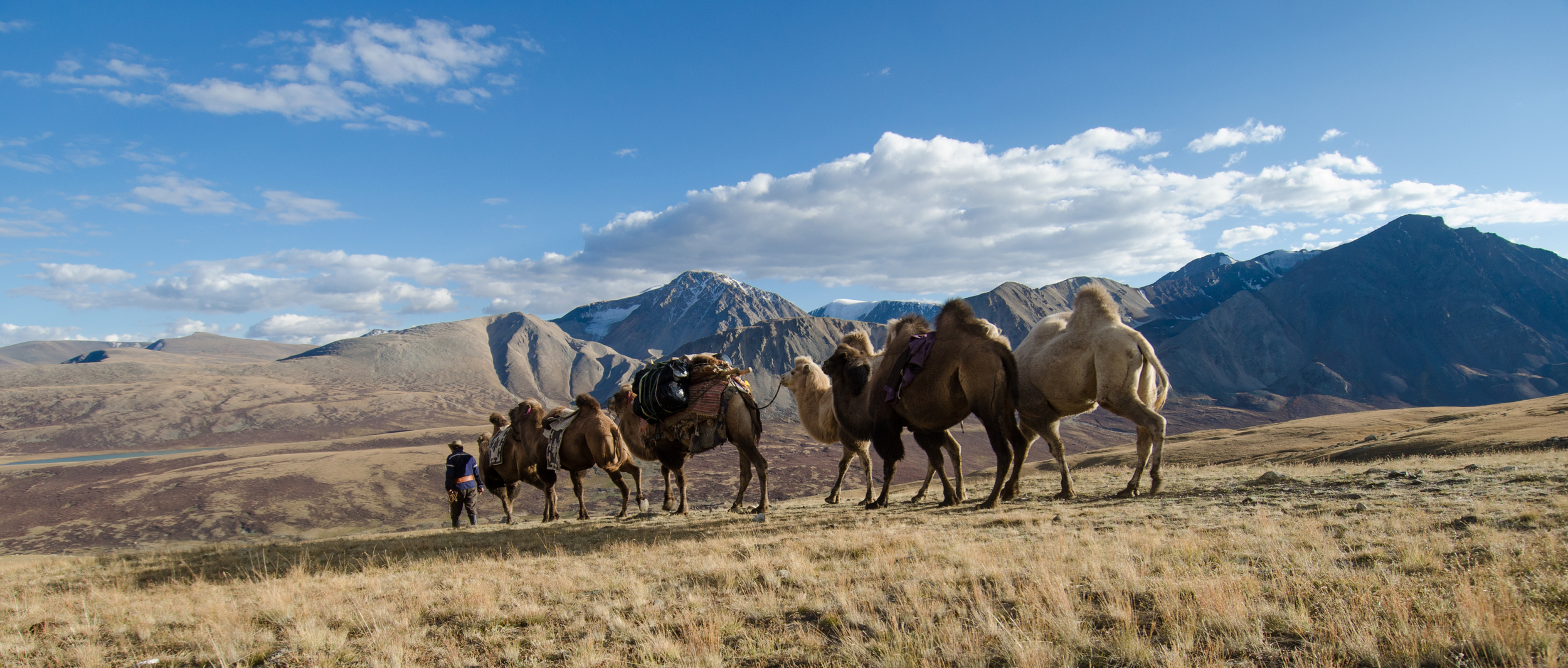 Camel train back to the vehicles