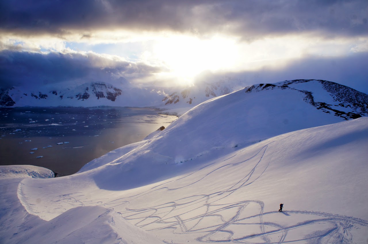 Fresh turns!