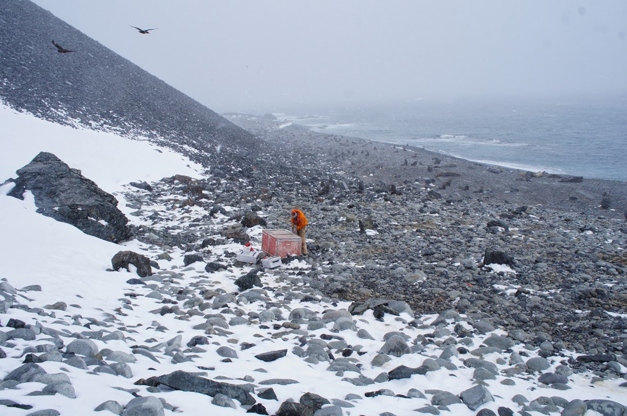 On Jenny Island