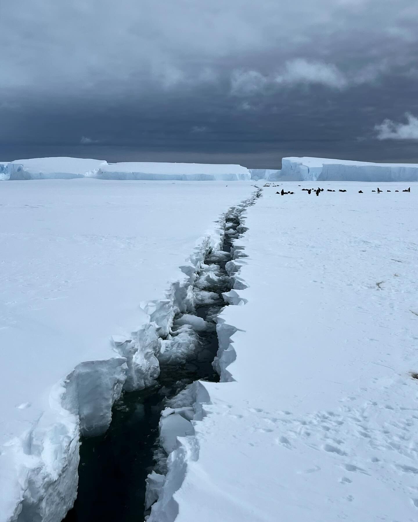 Homeward bound after another &lsquo;cracking&rsquo; season in Antarctica 💙 
.
@polar_safety_and_logistics #antarctica #filmandtvsafety #polarexpedition #polarguide #seaice #frozenocean
