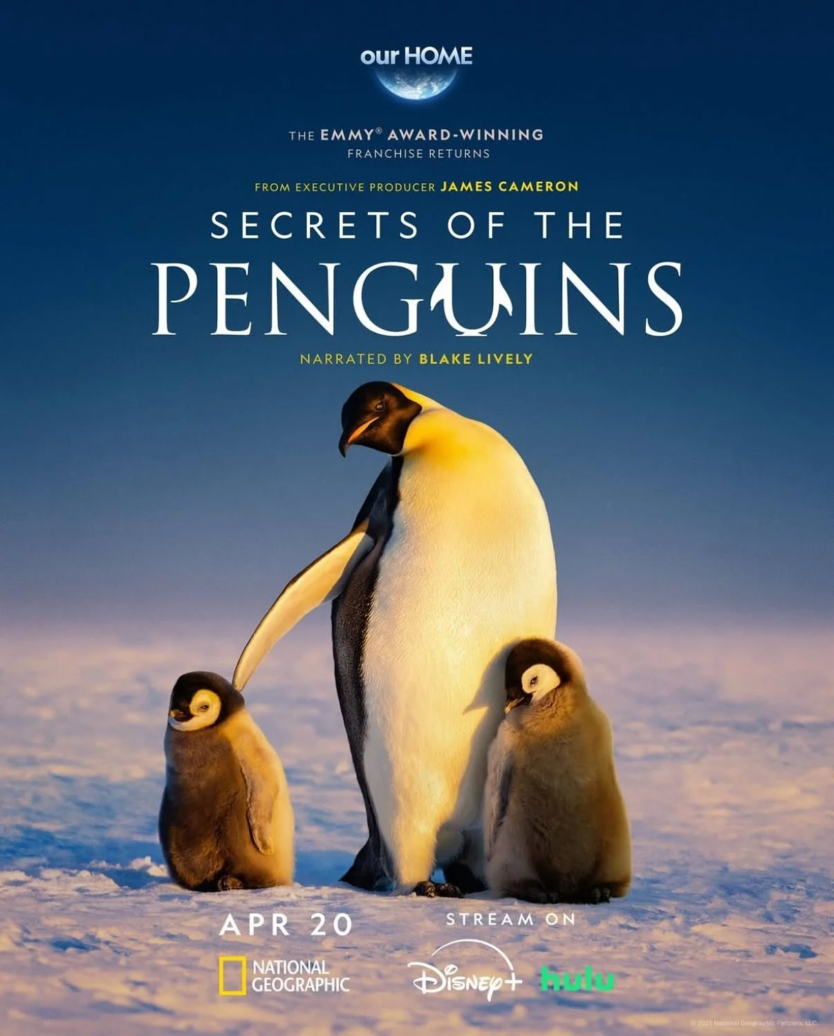 Out today - @natgeo Secrets of the Penguins.

A privilege to have been a very small part of this production with a world class team of professionals and just down right lovely people!

@bertiegregory @sergiotempest @saraofthewild @heathercruickshank 