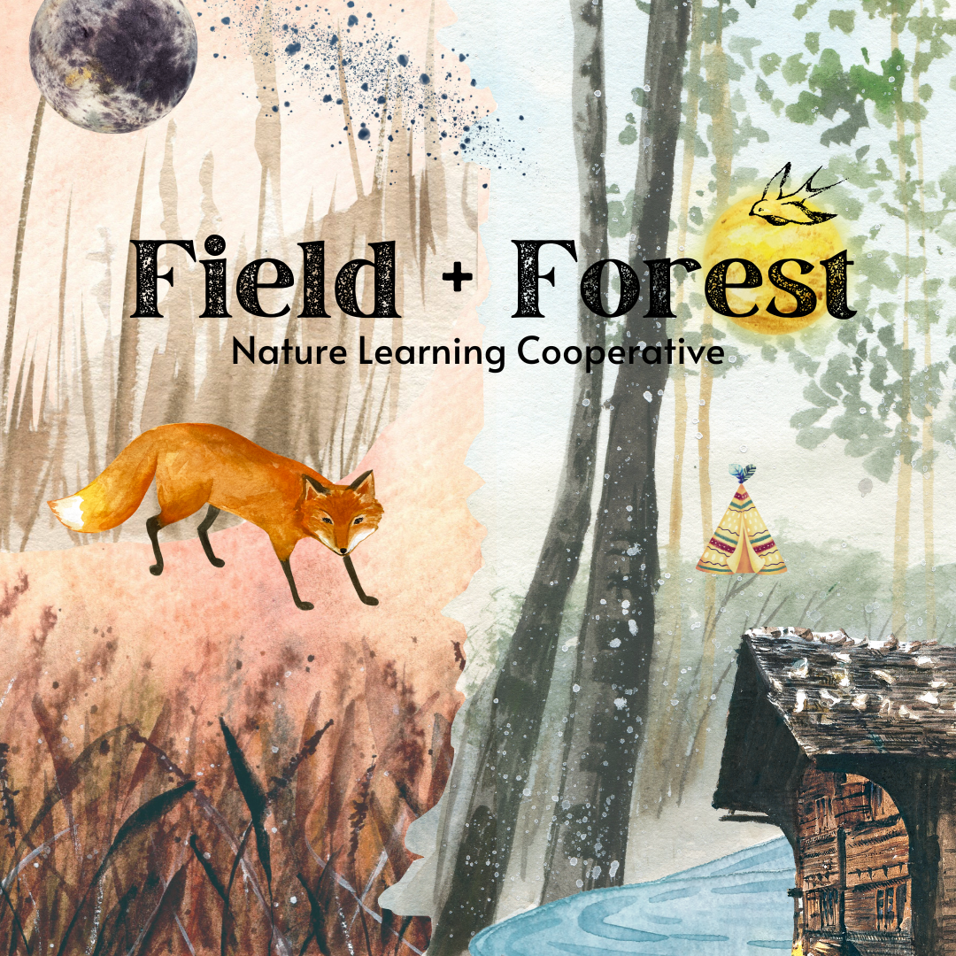 Field + Forest (1).png