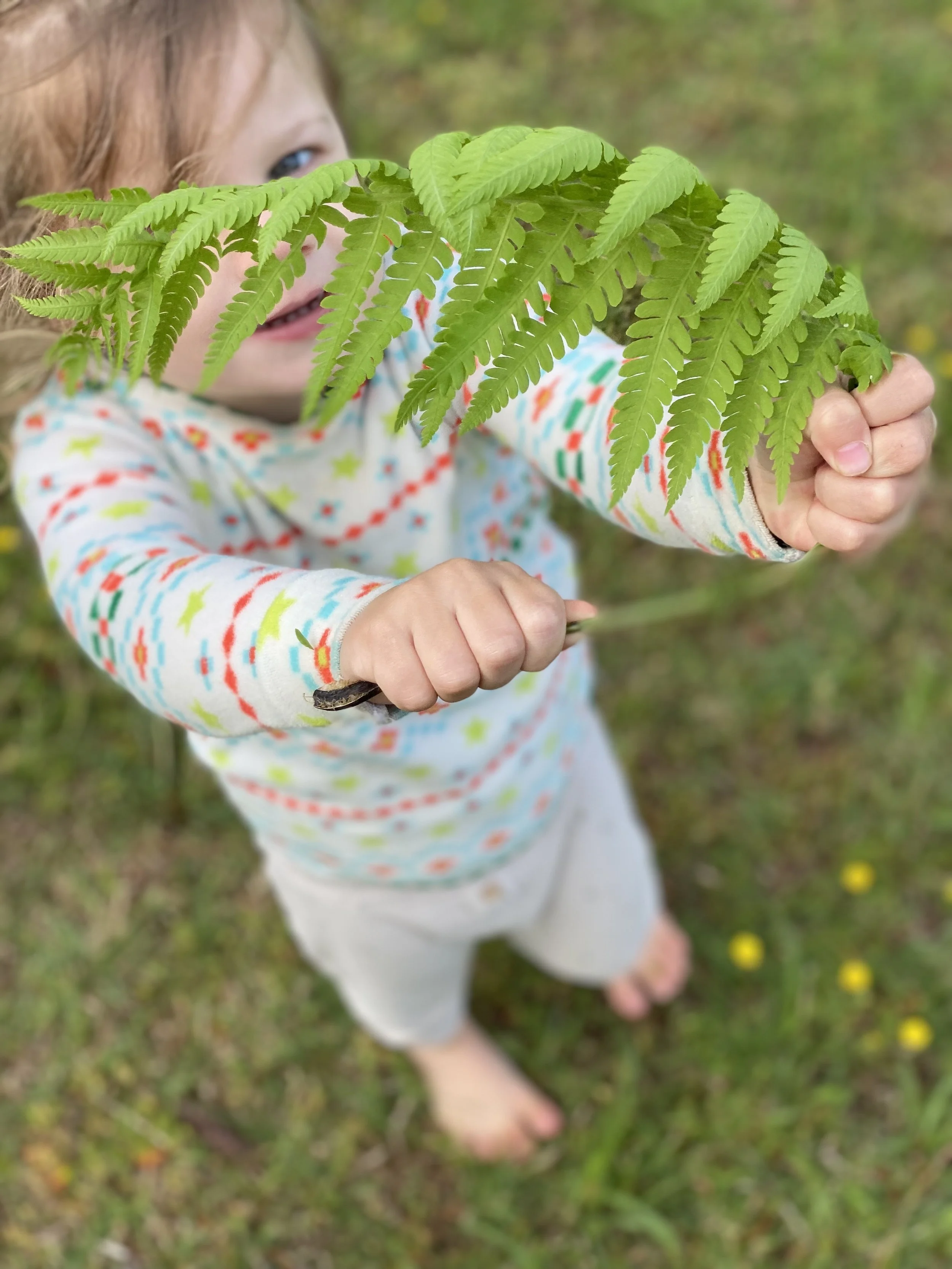 IMG_5053 2.jpeg