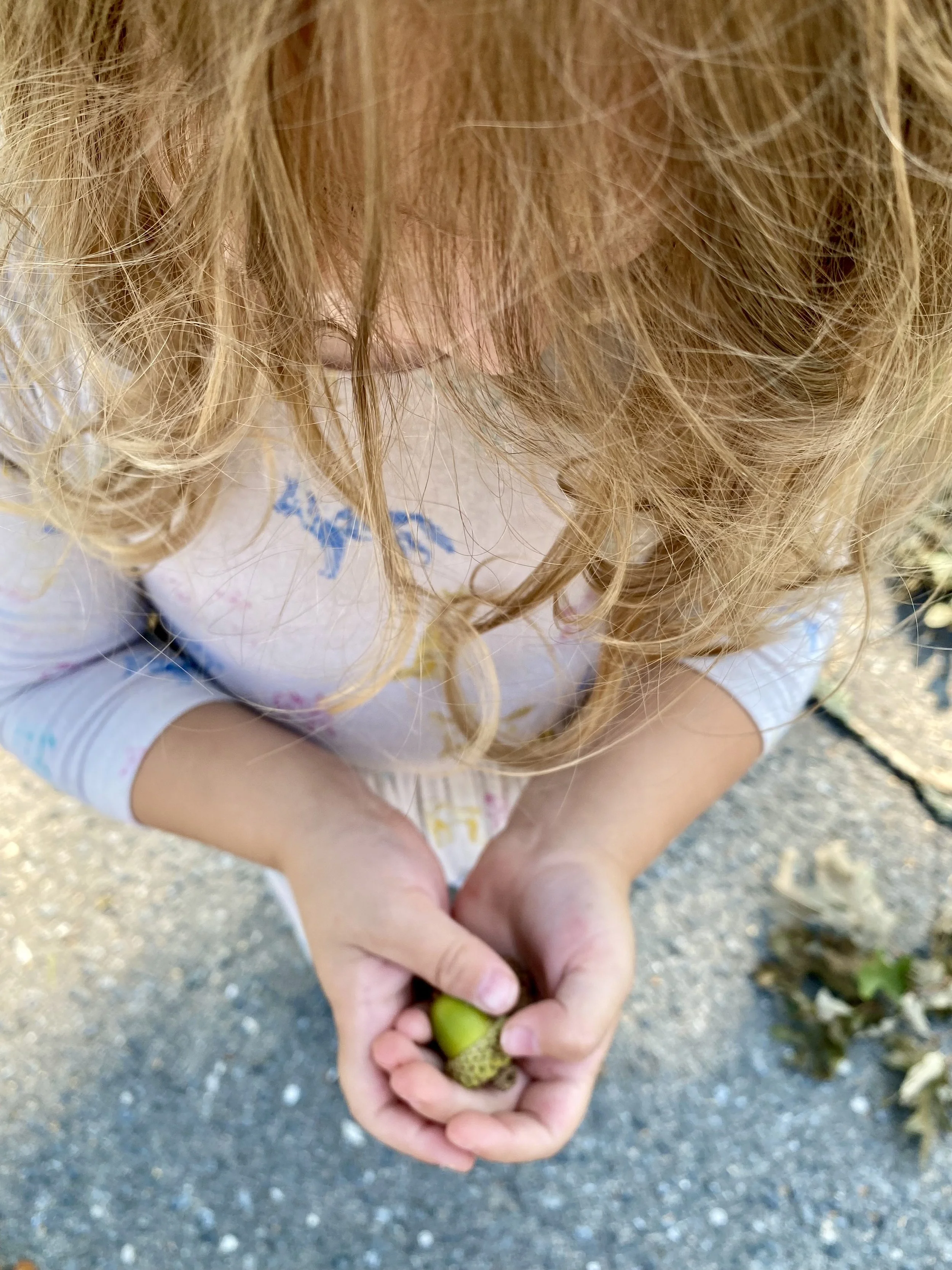 IMG_7150 2.jpeg
