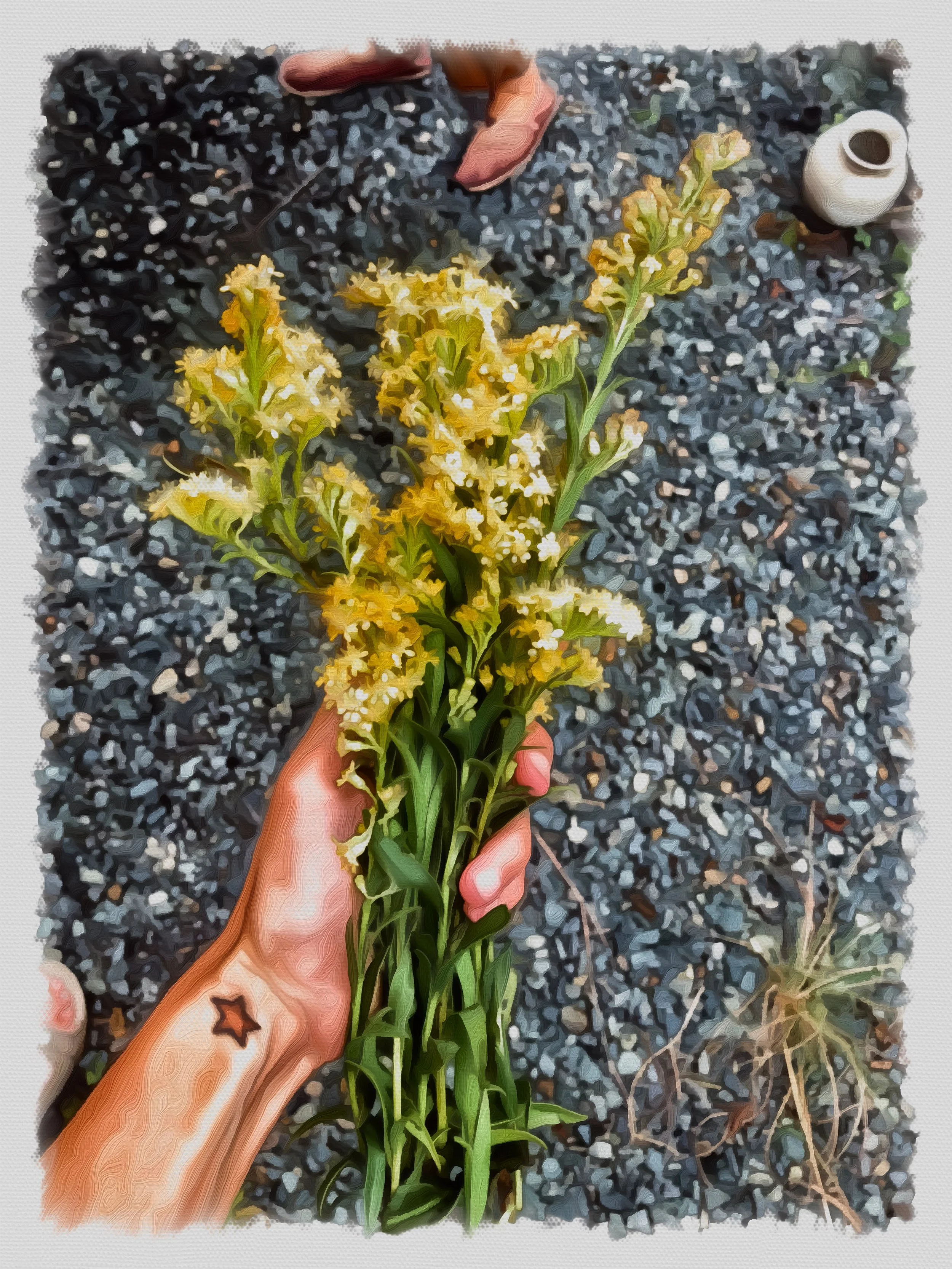 BeCasso-2024-09-27-13-58-09 2.jpeg