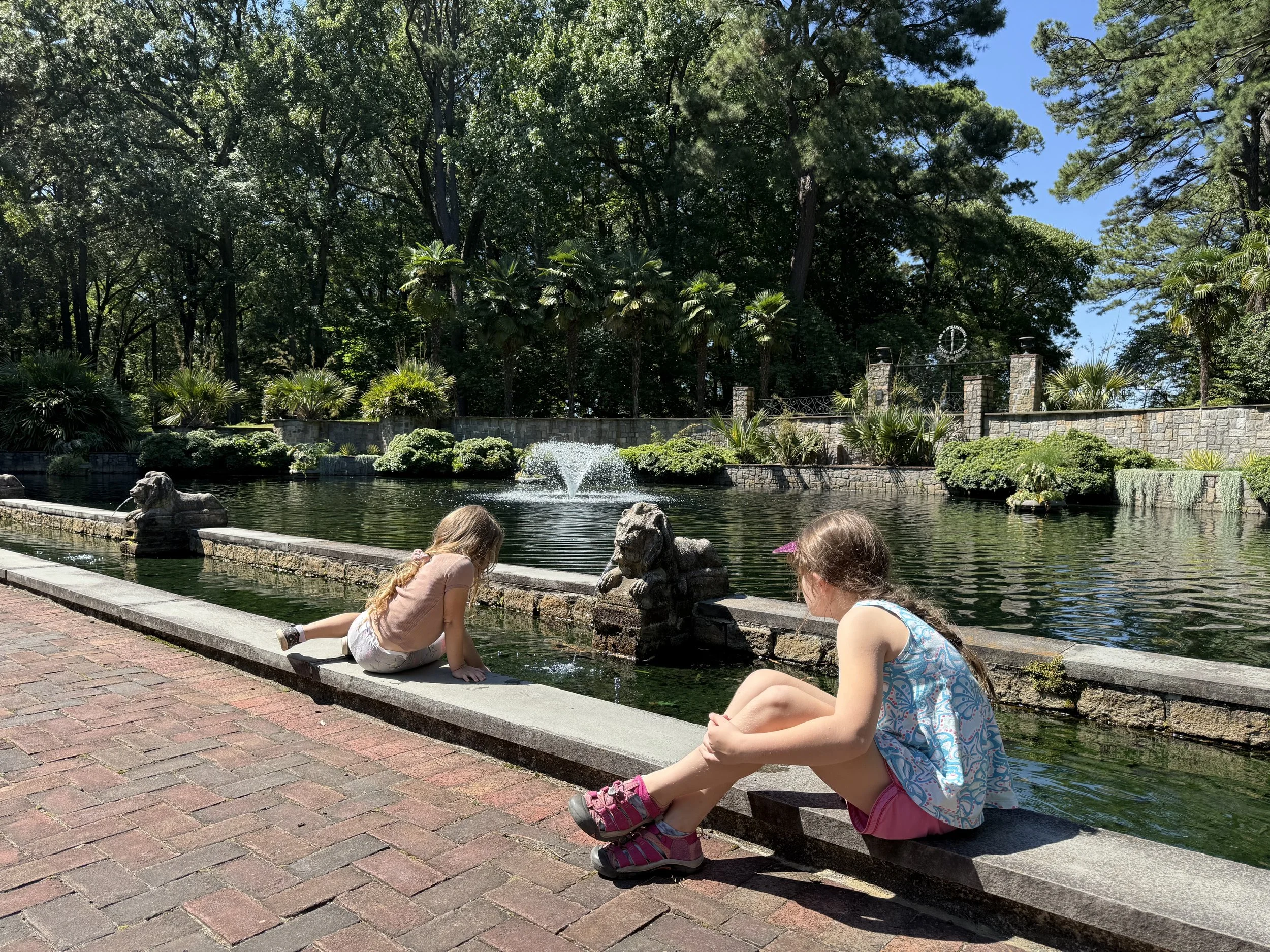 IMG_3519.jpeg