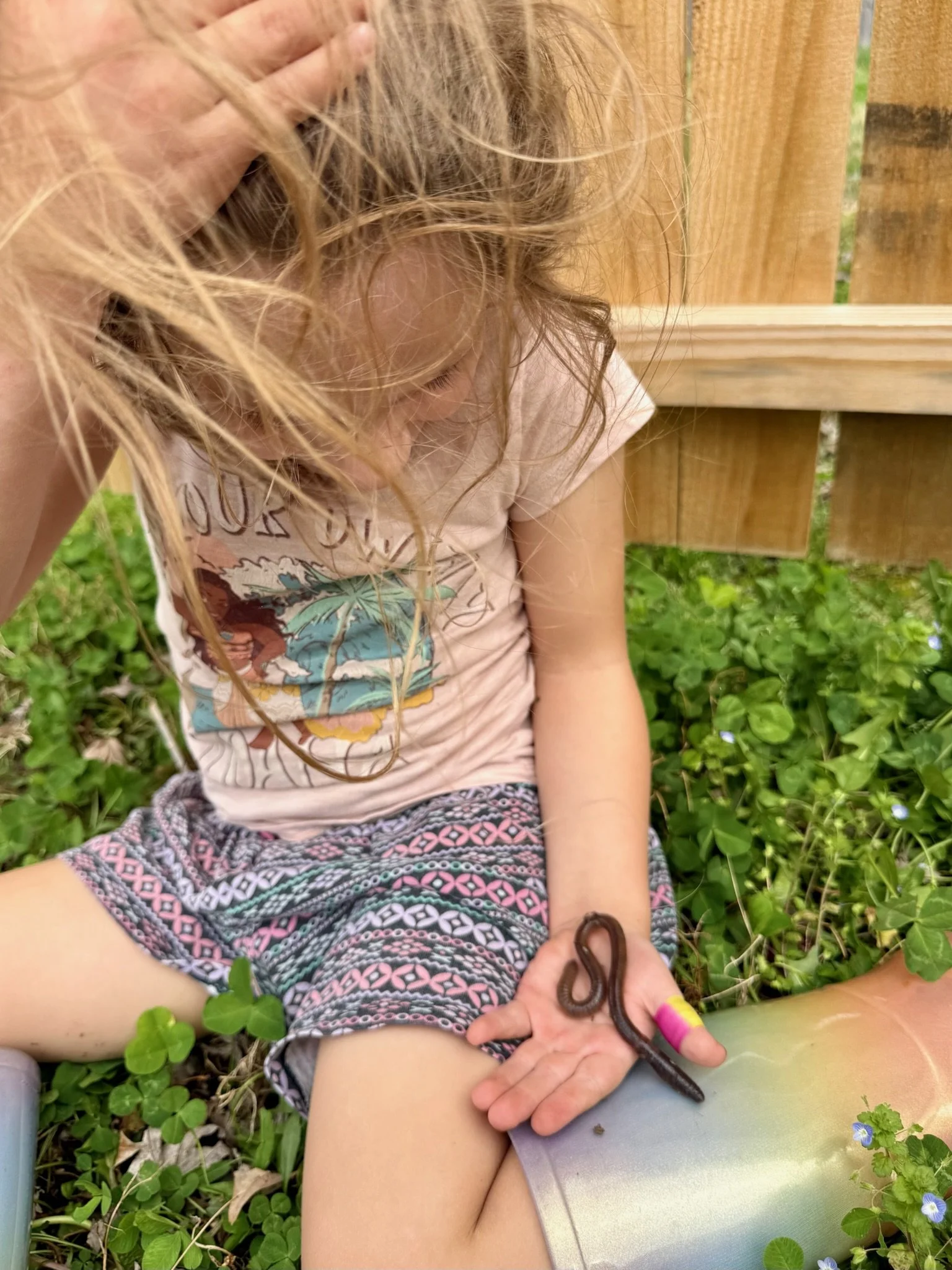 IMG_6007.jpeg