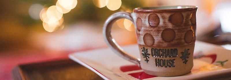 ColumbusWeddingPhotography-OrchardHouseHolidayDecor-DiBlasioPhoto-19webCROPPED.jpg