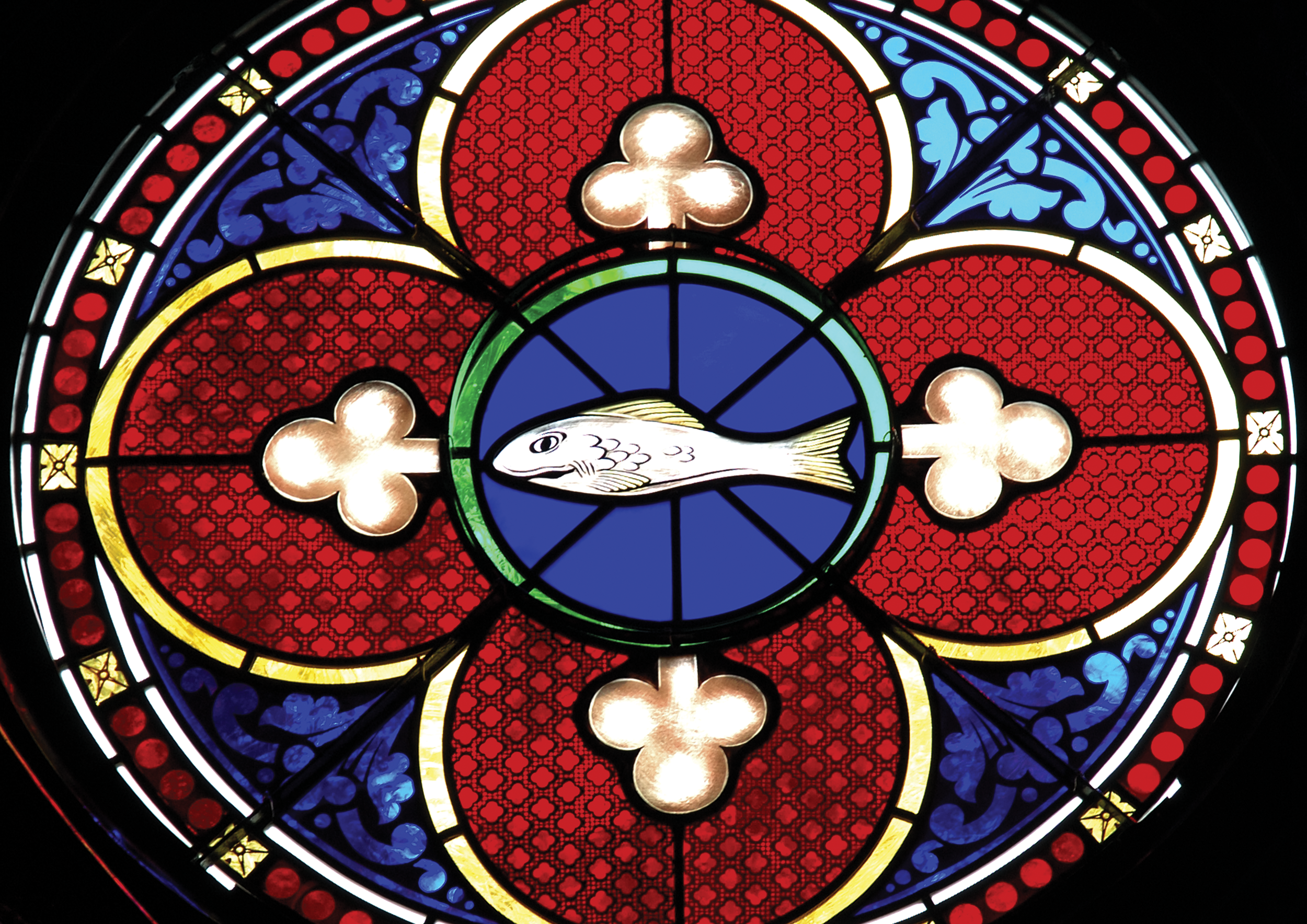 03013.00_Fish.png