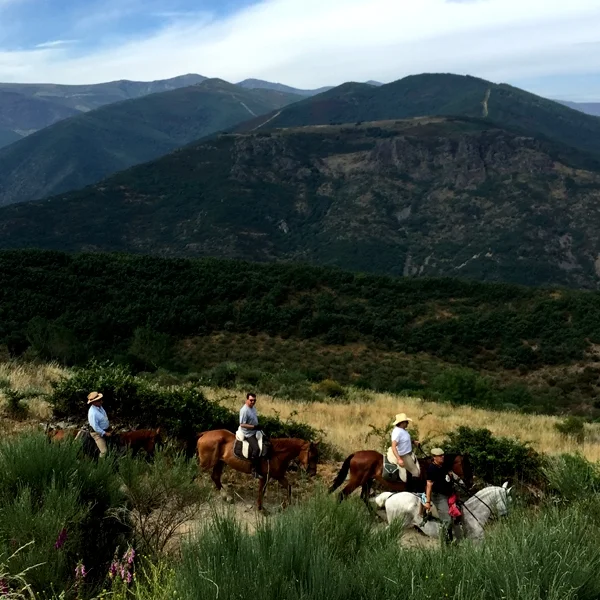 camino1.jpg