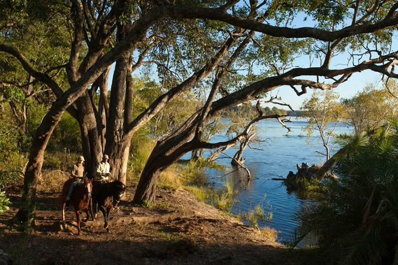 zambezi_horse_trails_14.jpeg