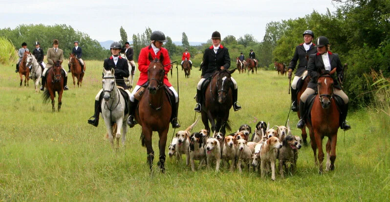 IMG_3100 Inanda Hunt.jpg