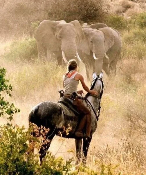 No two safaris are the same, with many moments of excitement