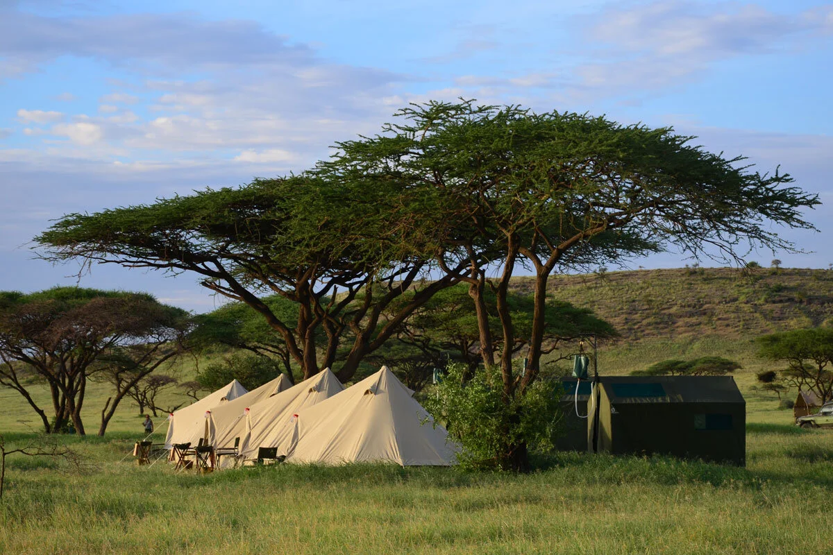 Kaskazi runs mobile safaris which move camp to a new location each day, allowing for riding through a greater area and more opportunities for game viewing.