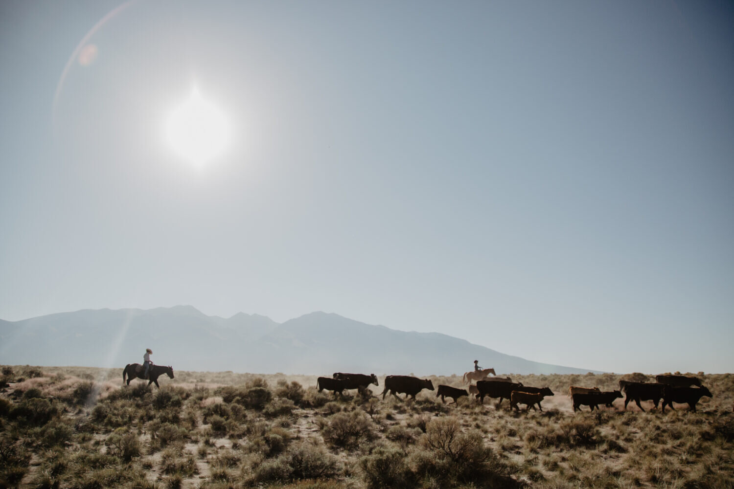 Horseback Riding Colorado Zapata Ranch (Copy) (Copy) (Copy)