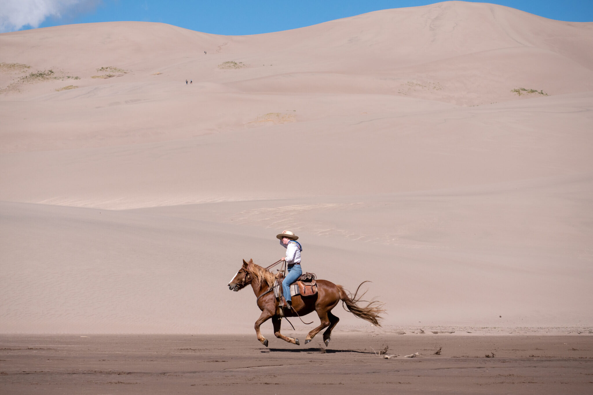 Galloping across the Great Sand Dunes (Copy) (Copy) (Copy)