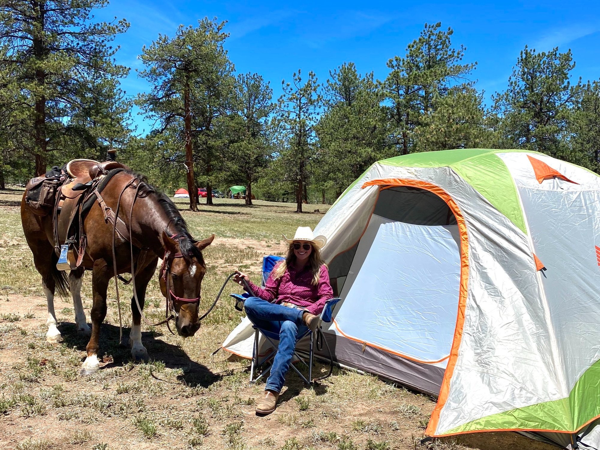 Camping with Horses