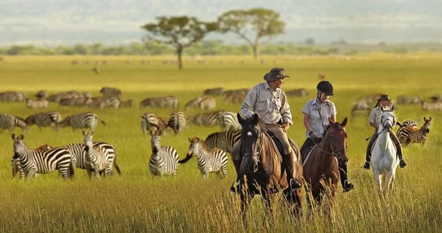horseback safari.jpg