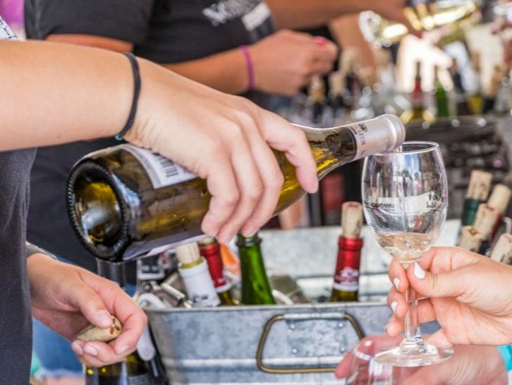 Albuquerque Wine Festival, New Mexico, horseback trail riding