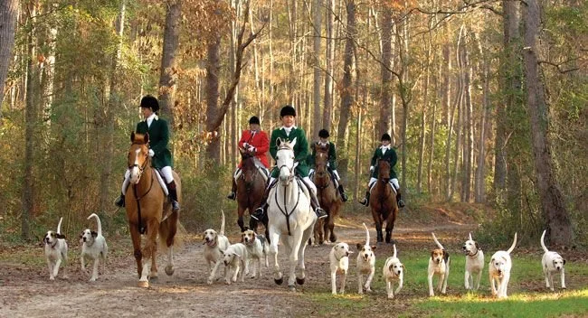 Aiken.jpg