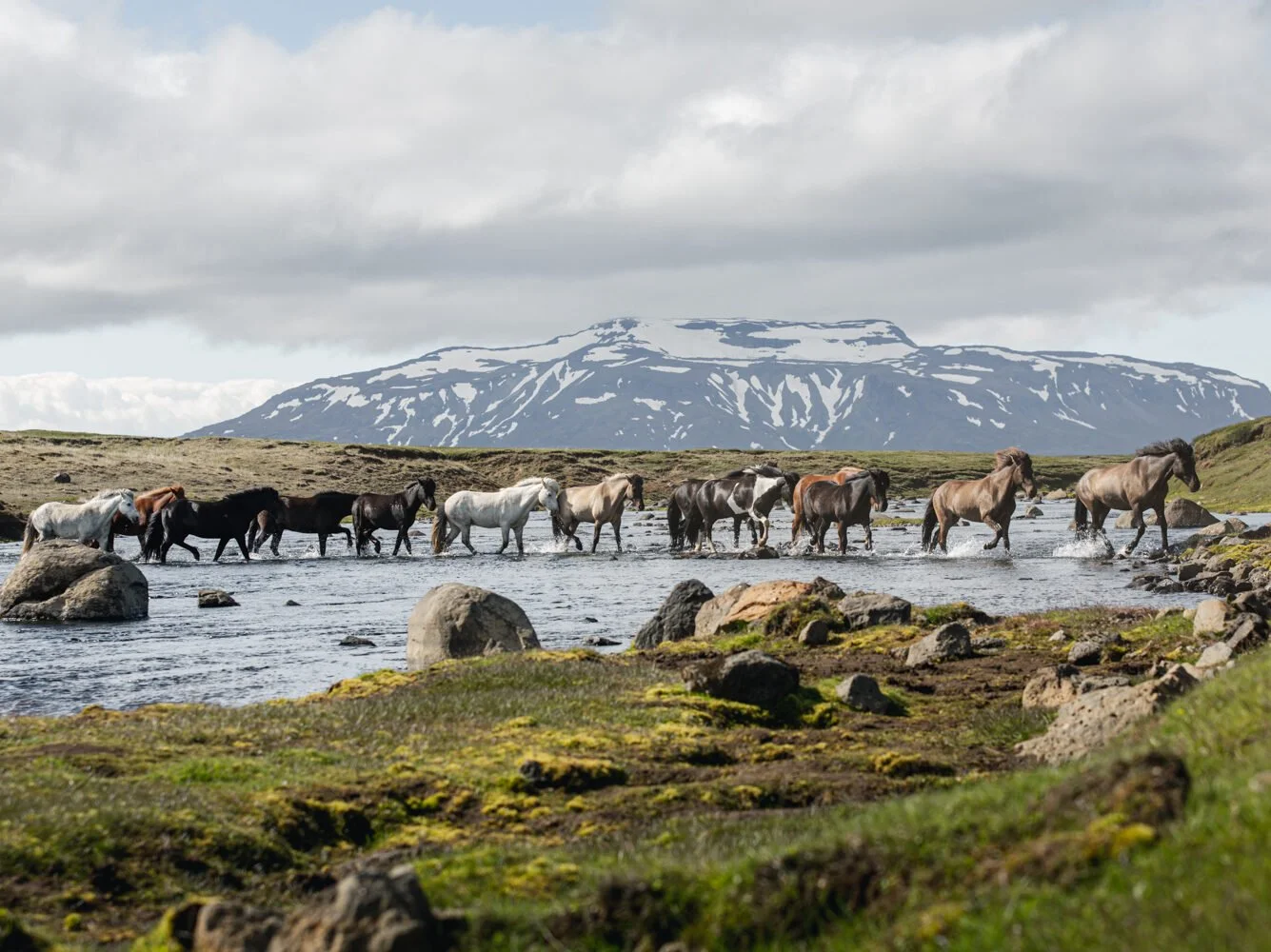 Kjolur5.jpg