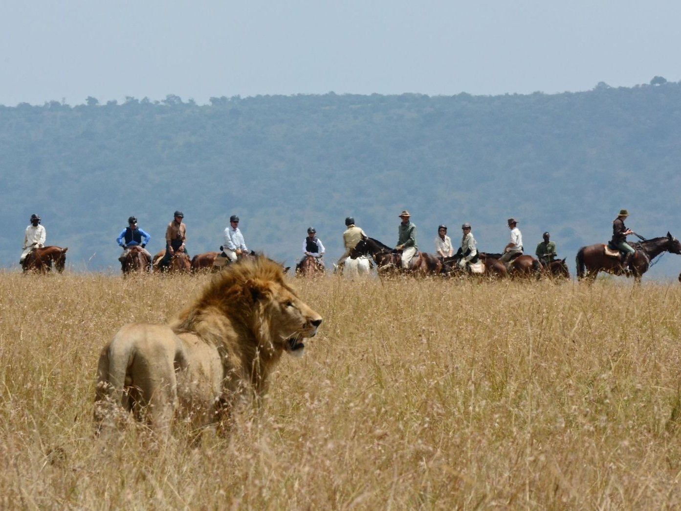 Safaris+Unlimited10.jpg