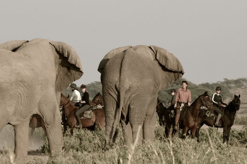 Kilimanjaro-Elephant-ride-50.jpg