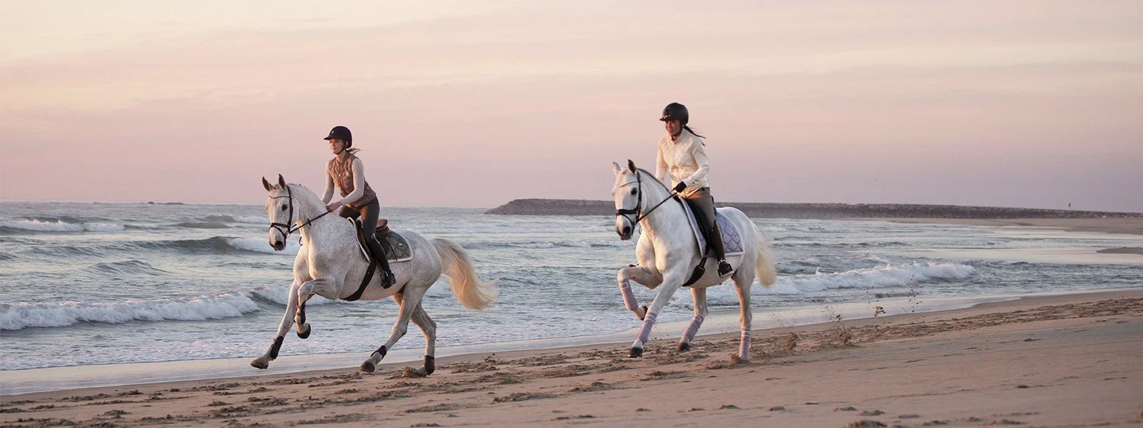 Portugal Equestrian.jpg